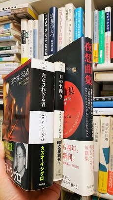 2017年涼秋_3