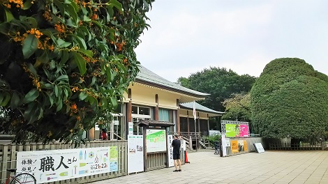 2017年涼秋_5