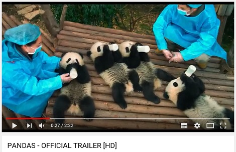 米映画「PANDAS」予告編