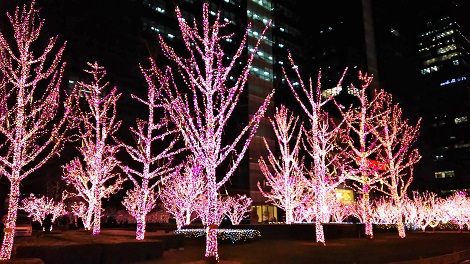 北京雑感2018(その3)_1