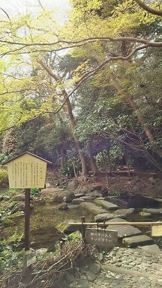 神田川お花見2019_10