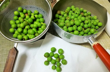 2019ÇßÄÒ¤±-2