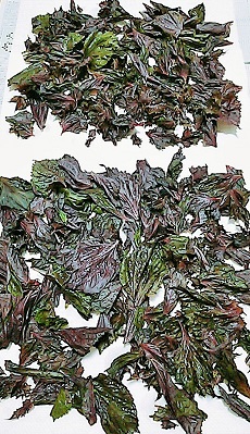 2019ÇßÄÒ¤±-6