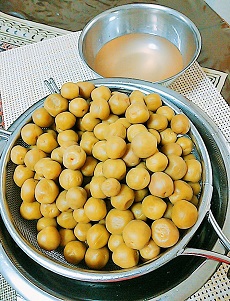 2019ÇßÄÒ¤±-7
