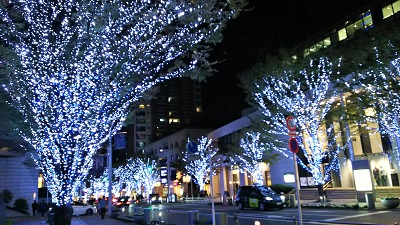 冬のはじまりに…2019_2