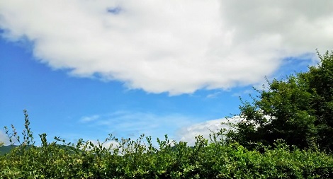 故郷の青空