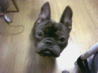 20070919083642.jpg