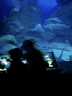 080528_123534.JPG