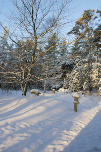 雪景色