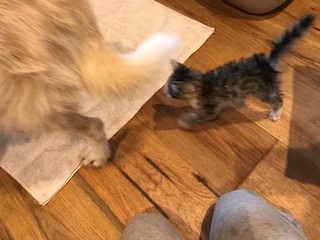 20181001_2174467.jpg