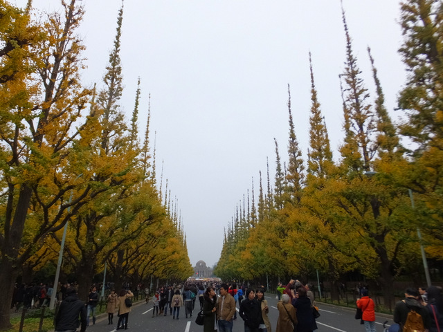DSCF9312.JPG