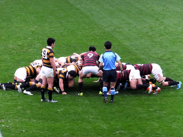 DSCF9367.JPG