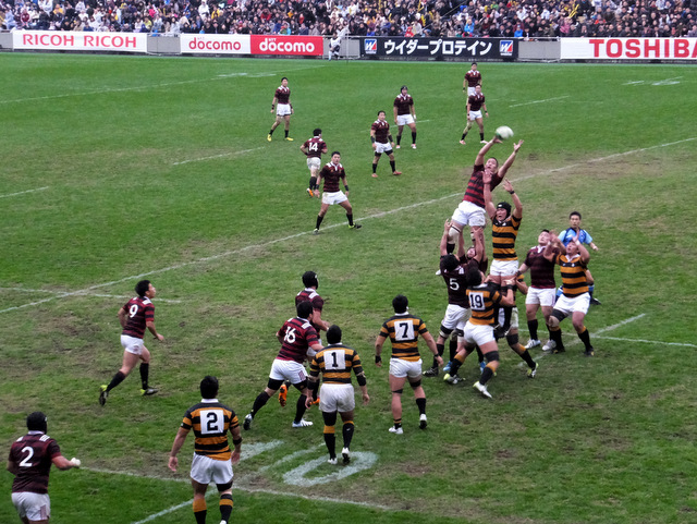 DSCF9381.JPG