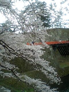 100430_1308~0002.jpg