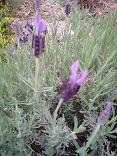 100523_1830~0001.jpg