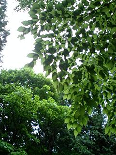 100529_1405~0001.jpg