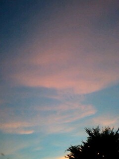 100720_1915~0001.jpg