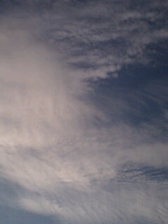 100809_1738~0001.jpg