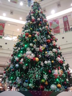 101122_1532~01.jpg