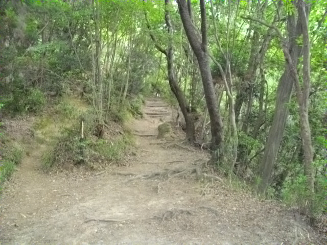 大文字山5