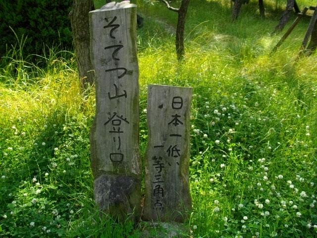 蘇鉄山2