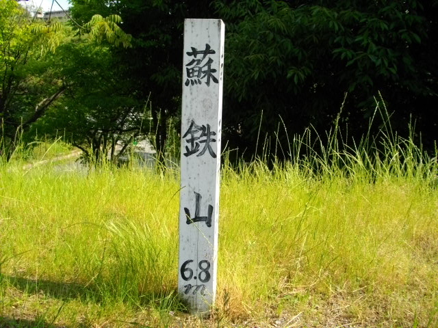 蘇鉄山8