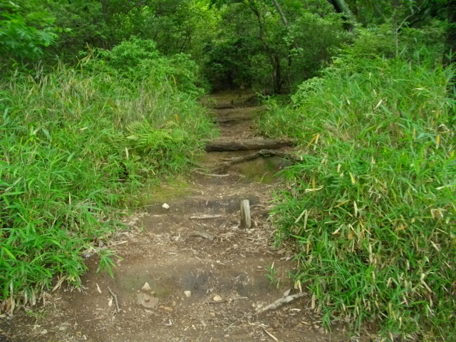 衣笠山2