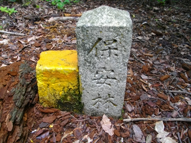 衣笠山4