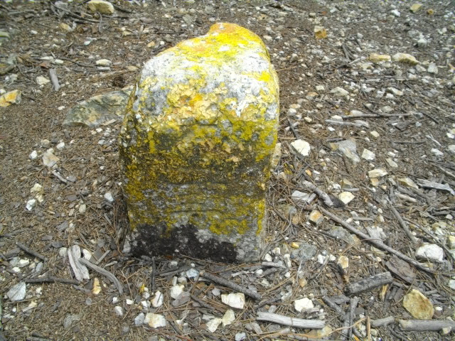 衣笠山7