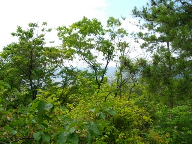 衣笠山10