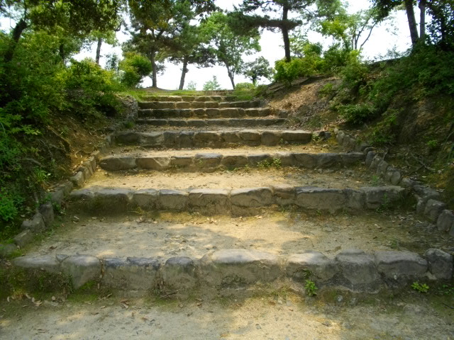 船岡山5