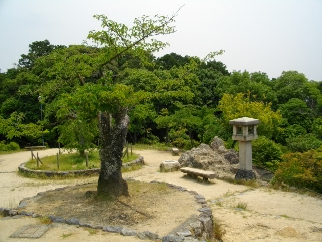 船岡山10