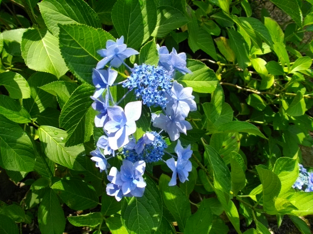 天王山22