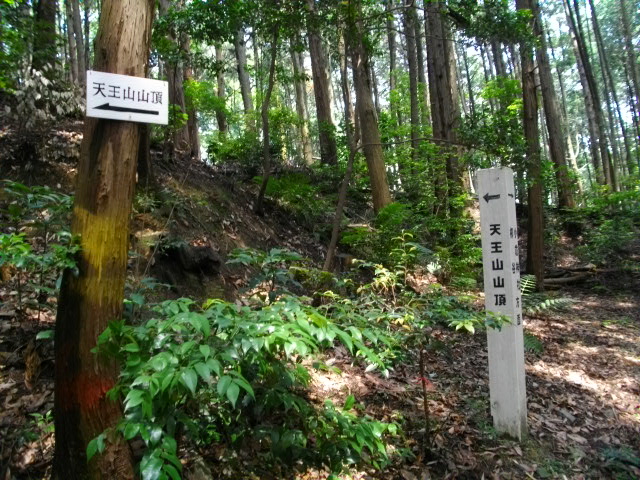 天王山26