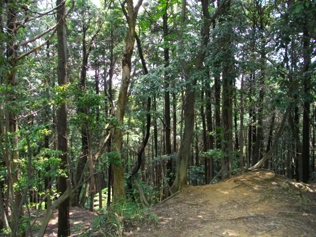 天王山32