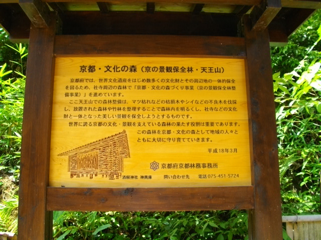 天王山33
