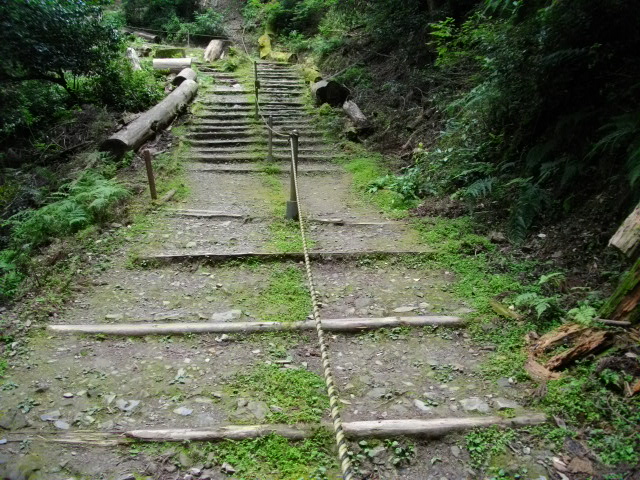 醍醐寺8