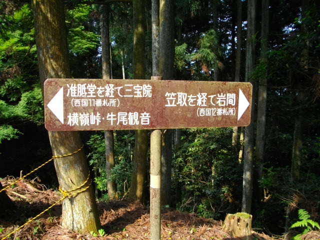 醍醐寺21