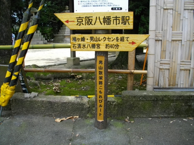 男山1