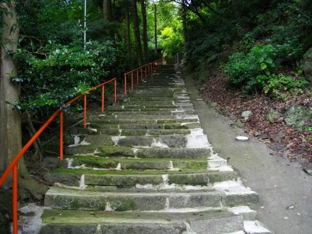 男山4