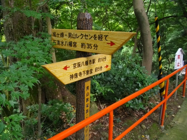 男山5
