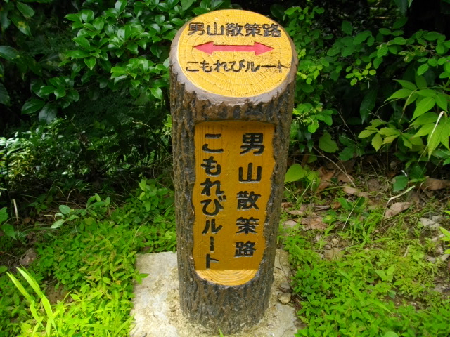 男山6