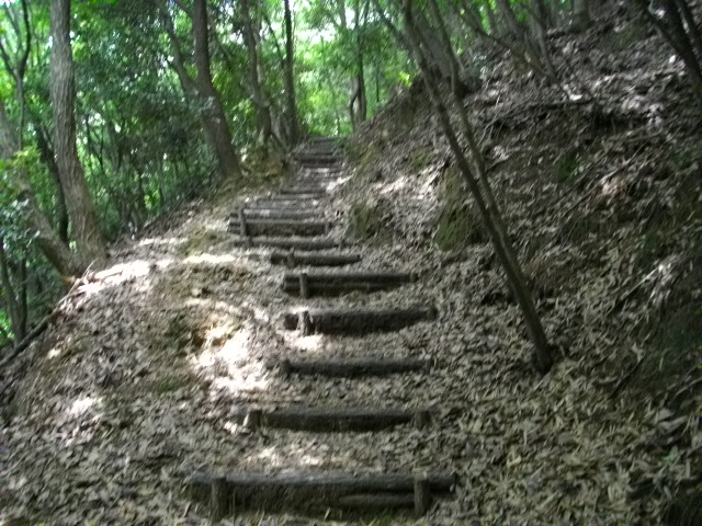 男山8