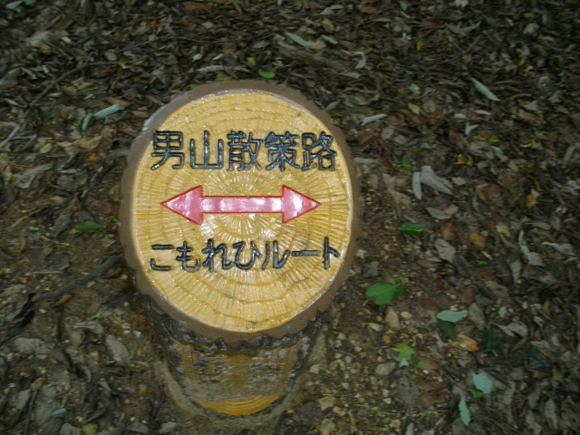 男山9