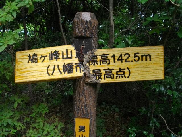 男山10
