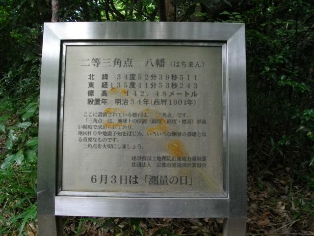 男山11