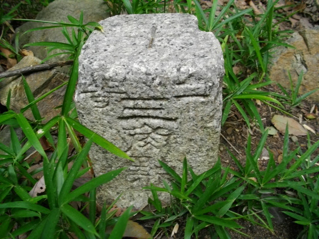 男山12