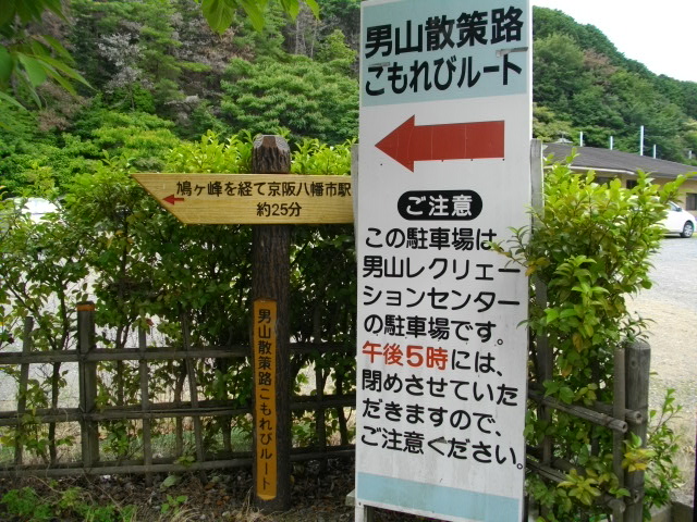男山13