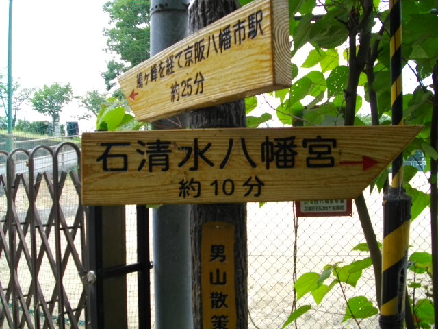 男山14