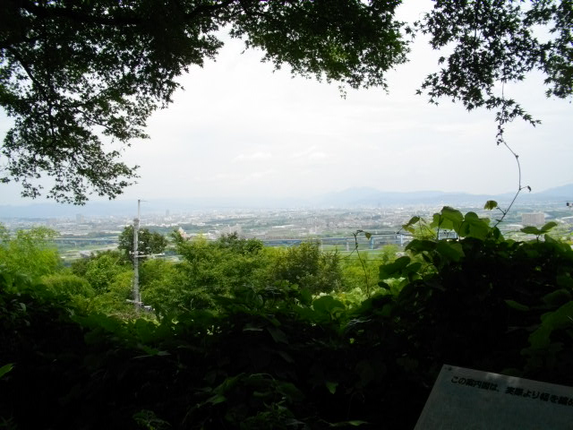 男山19